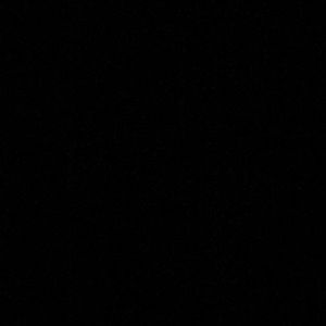 Meet your Posher, Jake